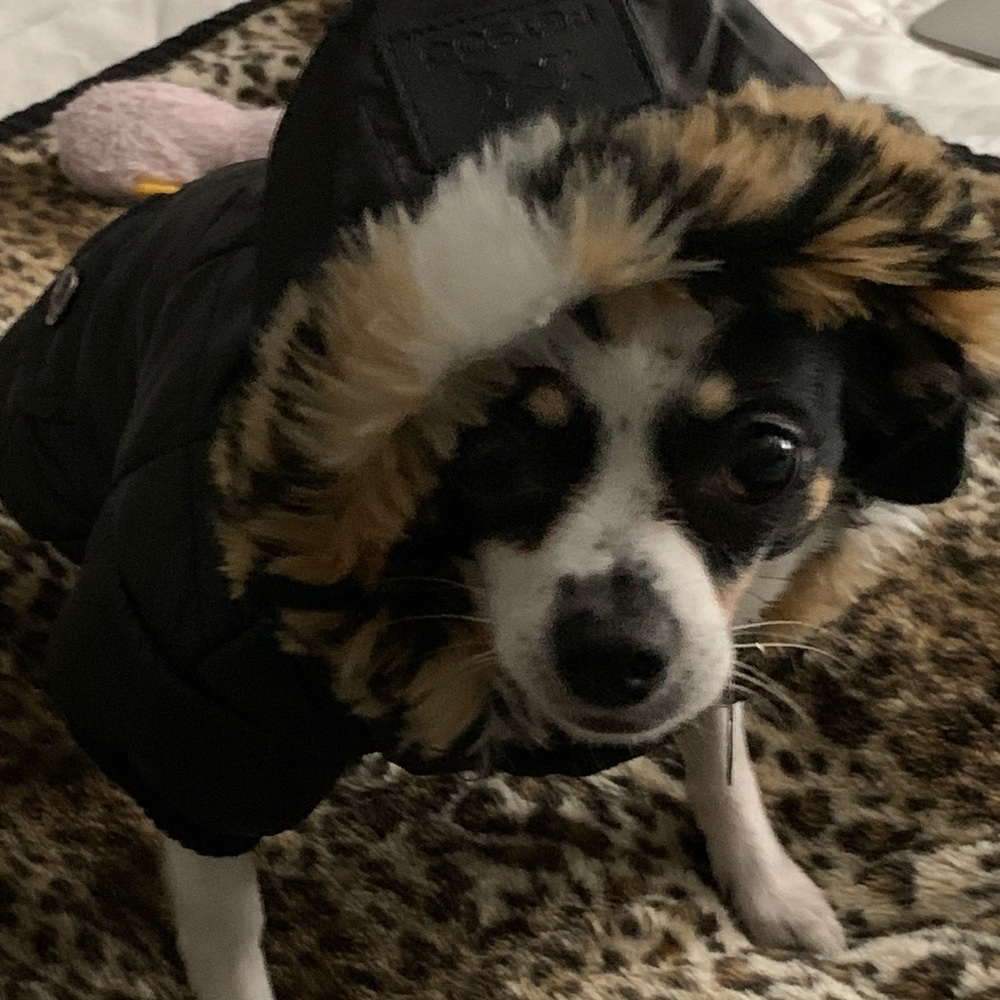 Meet your Posher, Kristin